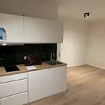 Rent 1 bedroom apartment in Gent