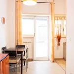 Rent 1 bedroom apartment of 50 m² in rome