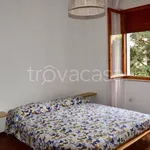 Rent 3 bedroom apartment of 60 m² in Rosignano Marittimo