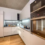 Rent 1 bedroom apartment of 50 m² in Prague