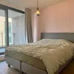 Rent 2 bedroom apartment in Genk