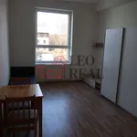 Pronajměte si 1 ložnic/e byt o rozloze 28 m² v Strašice