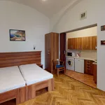 Pronajměte si 1 ložnic/e byt o rozloze 33 m² v Prague