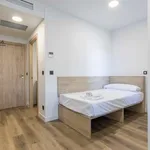 Rent 1 bedroom apartment in madrid