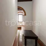 Rent 3 bedroom apartment of 80 m² in Firenze