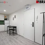 Rent 3 bedroom apartment in Brno