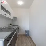 Pronajměte si 2 ložnic/e byt o rozloze 33 m² v Meziboří