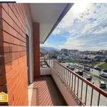 Rent 3 bedroom apartment in Bragança