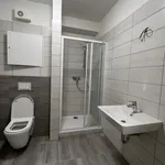 Rent 1 bedroom apartment of 30 m² in Brno