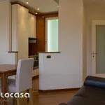 Rent 1 bedroom apartment of 60 m² in Milano MI