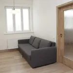 Rent 2 bedroom apartment of 46 m² in Prague