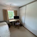 Rent 3 bedroom apartment in East Midlands