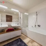 Rent 3 bedroom apartment of 95 m² in Praha