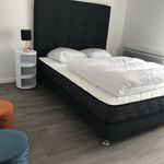 Louez une chambre de 25 m² à Villeurbanne