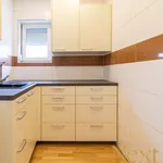 Rent 1 bedroom house of 204 m² in Linz