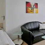 Rent 1 bedroom apartment of 30 m² in Erfurt