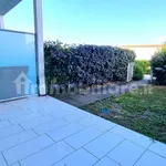 Rent 2 bedroom apartment of 53 m² in Pisa