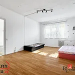 Rent 2 bedroom apartment in Chodov