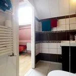 Rent a room in brussels