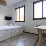 Rent 1 bedroom apartment of 35 m² in bologna