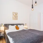 Rent 2 bedroom apartment of 56 m² in Berlin