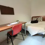 Rent 4 bedroom apartment in Madrid