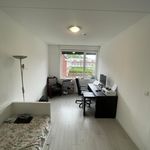 Rent 4 bedroom house of 160 m² in Eindhoven