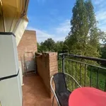 Rent 1 bedroom apartment of 54 m² in Reggio nell'Emilia