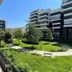 Rent 3 bedroom apartment of 80 m² in Pescara