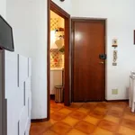 Rent 3 bedroom apartment of 50 m² in Follonica