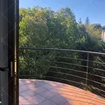 Rent 3 bedroom apartment of 120 m² in Budapest