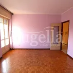 Rent 4 bedroom apartment of 100 m² in Cerrione