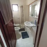 Rent 3 bedroom house of 55 m² in Pisa