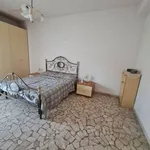 Rent 2 bedroom apartment of 70 m² in bologna