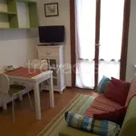 Rent 1 bedroom apartment of 32 m² in Padova