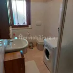 Rent 1 bedroom apartment of 38 m² in Turin