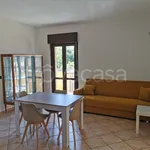 Rent 2 bedroom apartment of 65 m² in Marsala