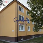 Rent 3 bedroom apartment of 58 m² in Hodonín