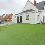 Rent 3 bedroom apartment in Meulebeke