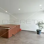 Rent 2 bedroom apartment of 130 m² in Zagreb