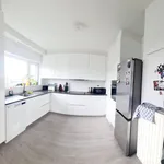 Rent 2 bedroom apartment in Beveren