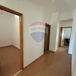 Affitto 5 camera appartamento di 95 m² in Ragusa