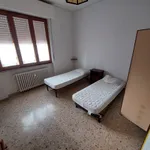 Rent 3 bedroom apartment of 120 m² in arezzo