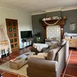 Rent 1 bedroom apartment in Gent