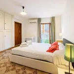 Rent 1 bedroom apartment in Florence