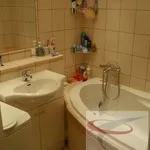 Rent 3 bedroom house in  Praha