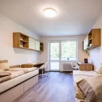 Rent 1 bedroom apartment of 20 m² in Brno