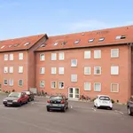 Rent 3 bedroom apartment of 82 m² in Roskilde