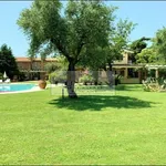 Rent 13 bedroom house of 400 m² in Pietrasanta