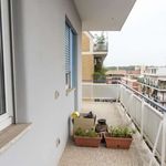 Rent a room in Roma